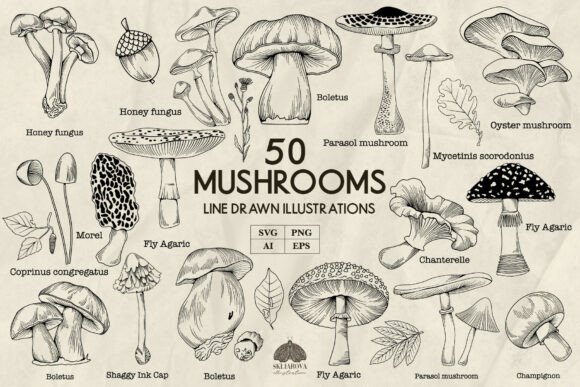 Download Mushrooms Line Art Svg Png Eps - Premium Resources